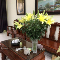 Mặt Phố Đặng Thùy Trâm, Oto Tránh, Vỉa Hè, Kinh Doanh. 70M 5 Tầng Mặt Tiền 6M. Chào 28,6Tỷ