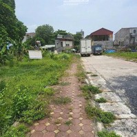 Duy Nhất 1 Lô Đấu Giá Đất Ở Đô Thị Tại Quang Minh Mê Linh. Khu Vực Sầm Uất Nhộn Nhịp, Sinh Lời Cao