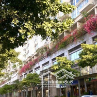 Shophouse Khối Đế Sarina Cho Thuê 3 Tầng Giá Bán 90 Triệu Dọn Vào Làm Việc Ngay
