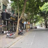 (Hàng Hiếm Cầu Giấy) Bán Nhà 6T Phố Dương Khuê 86M Mt: 6.5M - Thông Số Vàng - Sát Ngã Ba Kd Đỉnh