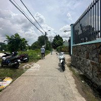 Bán Đất Thổ Cư Giá Rẻ Bình Chánh 310M2 Gần Đinh Đức Thiện