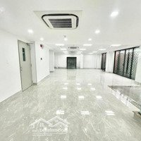 Bán Nhà Ba Đình, Mặt Phố Phan Kế Bính, 60*9, Mt5, Phù Hợp Toà Nhà Vừa Ở Kinh Doanh Spa, Bảo Hiểm