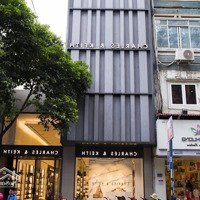 Khan Hiếm Nhất Quận 1 Phân Khúc 20 Tỷ! Bán Gấp Nhà Trần Quý Khoách (4,2X18M - 6 Tầng - Hđt 60 Triệu/Th)