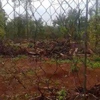 Đất Châu Đức Bà Rịa Vũng Tàu 1000M2 Có 100M2 Thổ Cư Giá Bán 2Ty150