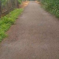 Đất Châu Đức Bà Rịa Vũng Tàu 1000M2 Có 100M2 Thổ Cư Giá Bán 2Ty150