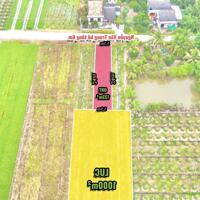 CHÍNH CHỦ CẦN BÁN GẤP LÔ ĐẤT MT ĐƯỜNG BÊ TÔNG NGUYỄN VĂN TRƯNG, XÃ BÌNH TỊNH, TÂN TRỤ, LONG AN