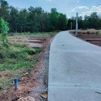 Cần Bán Gấp 168M Phước Sang Phú Giáo Giá Rẻ Nhất Khu Vực