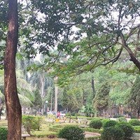 Bán Biệt Thự Cầu Giấy Tặng Mảnh Đất Siêu Đẹp - 188,6M2, Ô Tô Tránh Đỗ - Cách Phố 1 Bước Chân