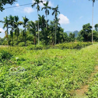2335M-300M Thổ Cư Bám Suối - Phong Cảnh Sơn Thuỷ Hữu Tình
- Vị Trí: Lương Sơn, Hoà Bình