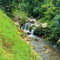 Cần Bán Mảnh Đất Siêu Víp Tại Đà Bắc Hòa Bình.