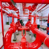 Cho Thuê nhà xưởng hạng A Quốc Tế, KCN Nhơn Trạch, Đồng Nai, gần 3ha, giá thuê 3 tỷ 900.