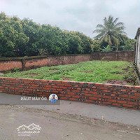 Bán Đất Tại Dạ Trạch, Khoái Châu Gần Khu Sân Gofl ,Đường Di Sản, 150M2, Mặt Tiền 8M, Pháp Lý Đầy Đủ