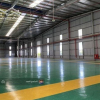 Cho Thuê 2 Kho Kcn Hiệp Phước Nhà Bè .Diện Tích3948 _3402M2. Pccc Đầy Đủ . Bàn Giao Ngay. Giá Tốt