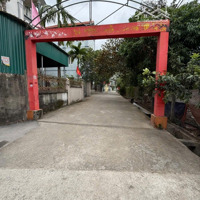 E Cc Cần Bán Đất Đẹp 65.4M Xuân Thuỵ. Kiêu Kỵ. Vị Trí Đẹp. Ngay Cạnh Vin Ocean Park 1. Giá: 5.19 Tỷ