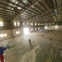Cho Thuê Kho Xưởng Xã Tân Nhựt Bình Chánh. Diện Tích: Tổng Diện Tích 1.1Ha (11.000M2) Có 8000 Kx