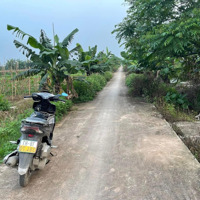 Bán 753M2 Đất Nông Nghiệp Ngay Yên Mỹ - Thanh Trì, Nhỉnh 2 Tỉ
