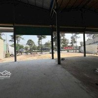 Cho Thuê Mặt Bằng Kd Hoặc Kho Đường Mỹ Phước Tân Vạn 1000M2 Thuận An Bình Dương