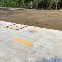 Bán Đất Khu Đô Thị Phúc Giang, 960 Triệu, 90M2 Ở Long Định, Cần Đước, Long An