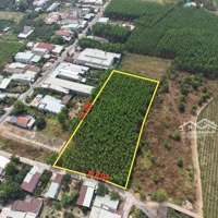 Chỉ 5 Triệu/Tháng, Có Ngay 5000M2 Mặt Tiền Kinh Doanh Xã Bình Lợi - Vĩnh Cửu