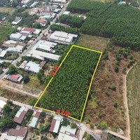 Chỉ 5 Triệu/Tháng, Có Ngay 5000M2 Mặt Tiền Kinh Doanh Xã Bình Lợi - Vĩnh Cửu
