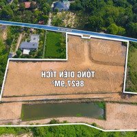 Siêu Phẩm Lô Đất Vàng Tại Cư Yên, Huyện Lương Sơn, Hòa Bình
