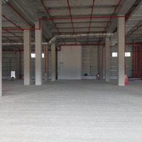 Cho Thuê Kho Xưởng Cao Cấp Bw Industrial Kcn Xuyên Á, Long An