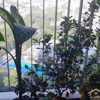 Bán Chung Cư 3 Phòng Ngủtòa Zen Kđt Gamuda Gardens, Trần Phú, Hoàng Mai, Hà Nội