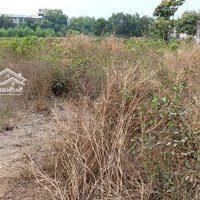 Chính Chủ Cần Bán Lô Đất Đường Đất Sét Bến Củi. Gần Công Ty Scanpost Việt Nam