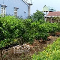 Chính Chủ Cần Bán Lô Đất Đường Đất Sét Bến Củi. Gần Công Ty Scanpost Việt Nam