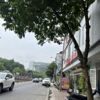 Bán Đất Mặt Phố Ba Đình, Vỉa Hè 10M,Diện Tích190M2 Giá Bán 75 Tỷ Đã Có Gpxd 10 Tầng