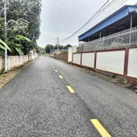 Đất Vùng Ven Giá Rẻ Tại Thành Phố Thủy Nguyên Đường Trải Nhựa Ápphan Rộng 7M Đèn Cao Áp Sáng