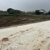 Bán Đất Tại Xã Cổ Đạm, 1,1 Tỷ, 400M2, Pháp Lý Đầy Đủ