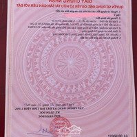 Đất Mặt Tiền Lộ Nhựa Xã Trung Hiệp Huyện Vũng Liêm