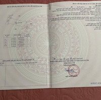 Tiềm Năng Kinh Doanh Sầm Uất - Vài Trăm Triệu Sở Hữu Ngay Sơn Hà - Thái Thụy - Thái Bình
