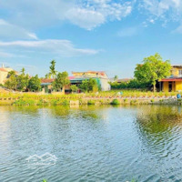 Đất View Hồ Liên Nghĩa, Giá Chỉ 3X Tr/M2( X Mầm Non) Đia Chỉ: Bá Khê, Liên Nghĩa, Văn Giang