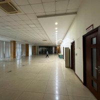 Cho Thuê Toà Nhà Mặt Phố Lạc Long Quân, Tây Hồ, Hà Nội 500M2 X 4 Tầng 1 Hầm