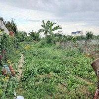 Đất Hòa Long - Tp Bà Rịa; Diện Tích: 7M X 59M =400.1M2, 60M2 Thổ Cư Hợp Làm Nhà Vườn; Giá Chỉ: 1.75 Tỷ