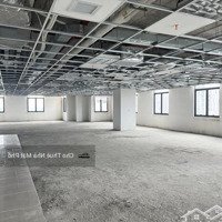 Cho Thuê Nhà Mặt Phố Trần Văn Lai Lô Gócdiện Tích1000M,Mặt Tiền 30M,Vị Trí Đẹp Nhất Phố Phù Hợp Nhiều Mh