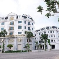 Siêu Phẩm Shophouse V6 Khu Đô Thị Văn Phú, Mặt Đường Lê Trọng Tấn, Kinh Doanh Siêu Đỉnh 126M2 X 7T