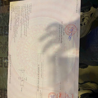 Cái Gì To Thì Sợ Chứ Đường To Không Lo Mất Giá Bao Giờ- Đất Trục Chính Rẻ Như Ngõ Xóm