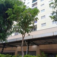 Cho Thuê Nhàmặt Tiềnvườn Lài, P. Phú Thọ Hòa, Quận Tân Phú Giá Bán 15 Triệu 57,6M2