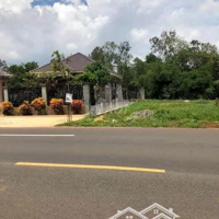 Full 2Sổ Hồng Thổ Cư (10X50=500M2) 480 Triệu, Ql14 Vô Nhưạ 22M Sát Trường 123, Chợ Đại Phú,3Kcn Becamex
