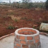 Bán Nhanh Đất 3.7Ha Sẵn Giếng Nước