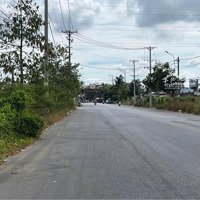 Bán Đất Đẹp Xuất Sắc Tại Xã Định Môn, Thới Lai, Cần Thơ, 1,5 Tỷ, 120M2