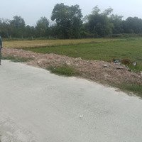 Đất Cần Bán Gấp . Mặt Tiền Đường Dt825. Đất Sạch
