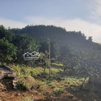 Cần Bán 1,9Ha Hòa Kim, Kim Bôi, Hòa Bình.
