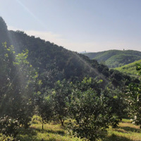 Cần Bán 1,9Ha Hòa Kim, Kim Bôi, Hòa Bình.