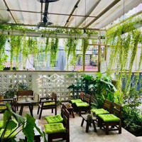 Cho Thuê Villa Sân Vườn Khu Phố Nhật Bình Thạnh