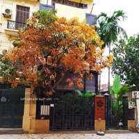 Cho Thuê Nhà Mặt Phố Quảng An View Hồ Diện Tích 300M, Mặt Tiền 10M, Có Sân Vườn Rất Rộng. Đoạn Đẹp