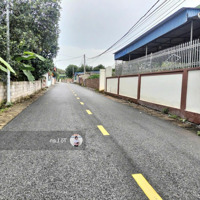 Đất Vùng Ven Giá Rẻ Tại Thành Phố Thủy Nguyên Đường Trải Nhựa Ápphan Rộng 7M Đèn Cao Áp Sáng Trưng